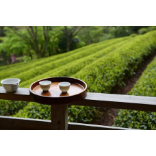 Порівняння зелених чаїв: Лун Цзін та Бі Ло Чунь 